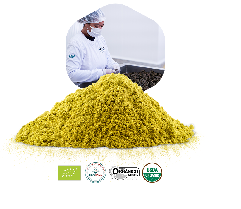 Propolis hijau bubuk MN dengan sertifikasi internasional